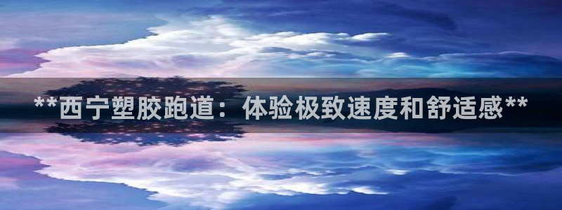 尊龙内地：**西宁塑胶跑道：体验极致速度和舒适感**