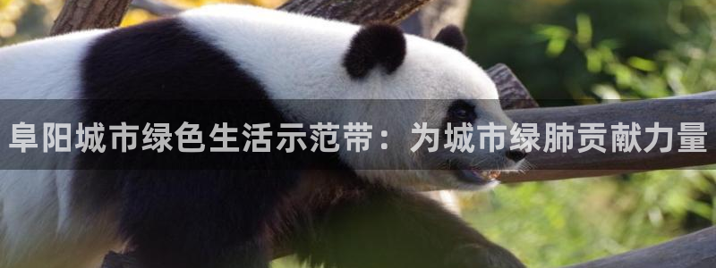 尊龙凯时城游戏官网