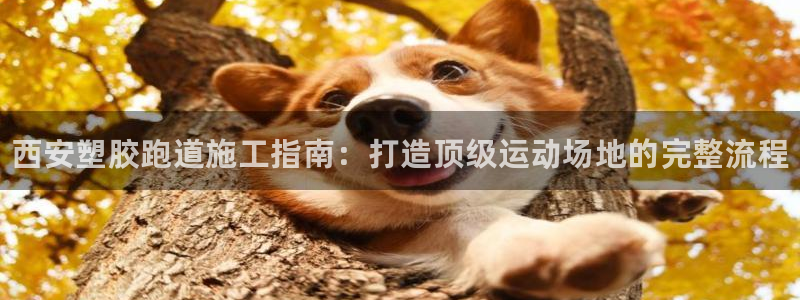 AG尊龙注册在线游戏：西安塑胶跑道施工指南：打造顶级运动场地的完整流程