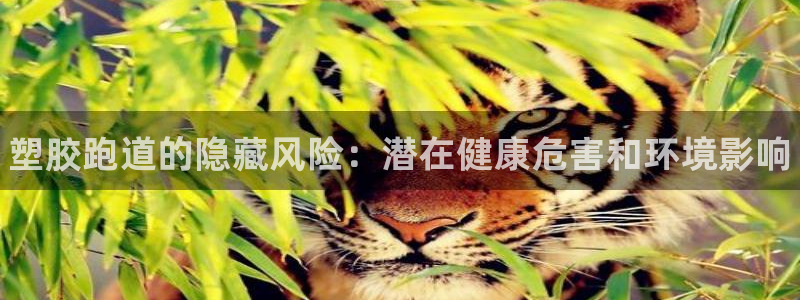 尊龙d88现金旧版本：塑胶跑道的隐藏风险：潜在健康危