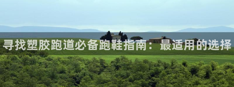 尊龙凯时不给提现怎么办：寻找塑胶跑道必备跑鞋指南：最