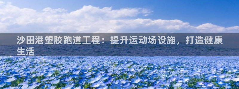 ZL尊龙凯时集团：沙田港塑胶跑道工程：提升运动场设施