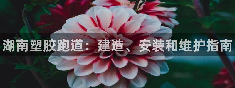 尊龙网站注册站注册：湖南塑胶跑道：建造、安装和维护指南